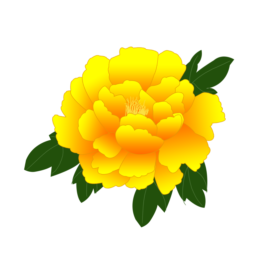 国风牡丹牡丹花元素花卉免抠素材