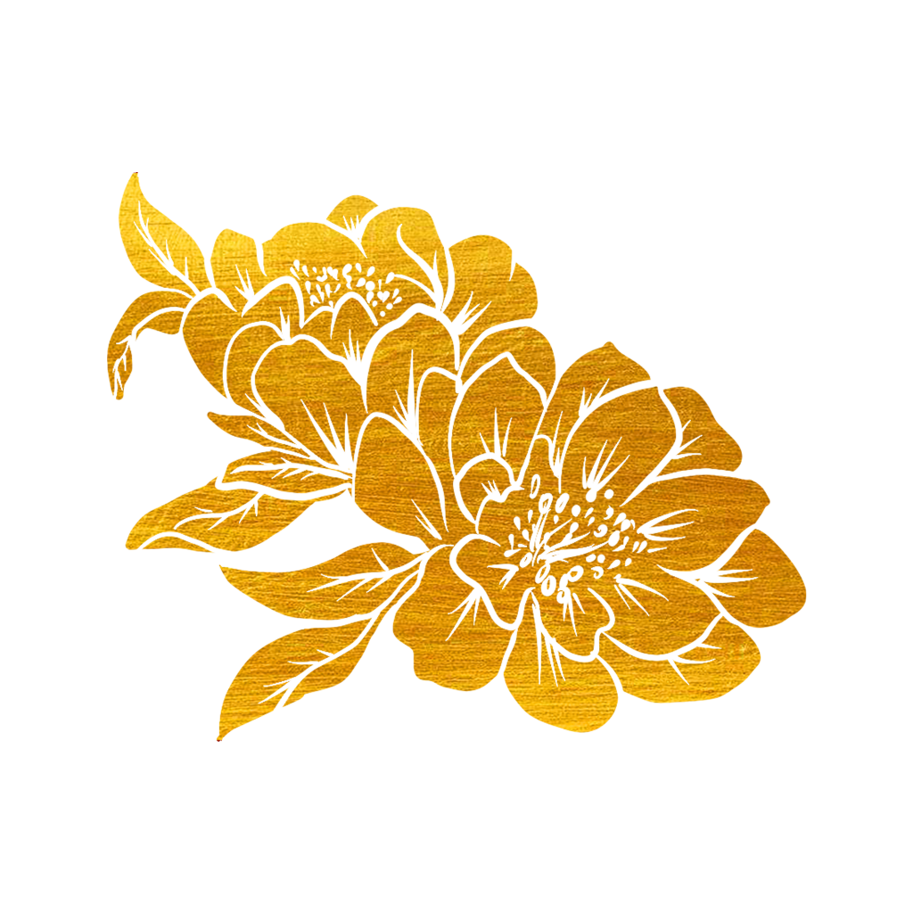 牡丹牡丹花元素花卉免抠素材