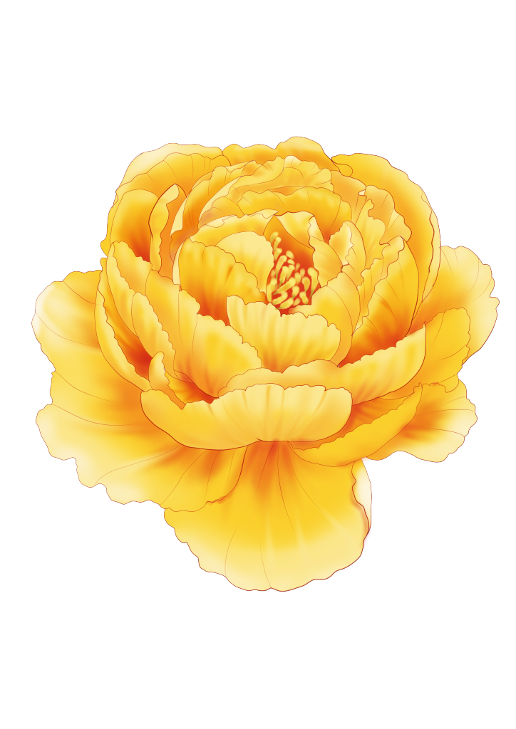 牡丹牡丹花元素花卉免抠素材