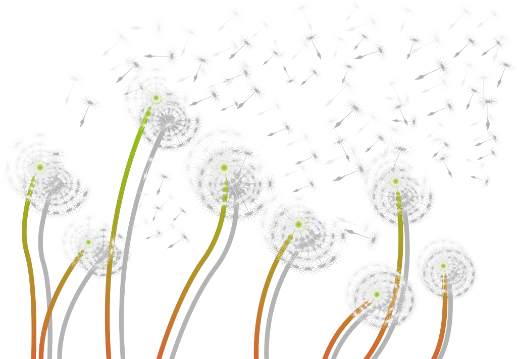手绘蒲公英花卉PNG素材