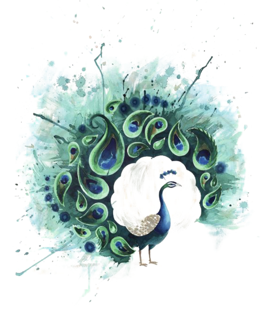 美丽孔雀图案素材PNG