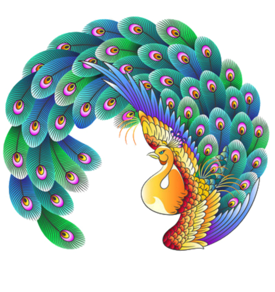 美丽孔雀图案素材PNG