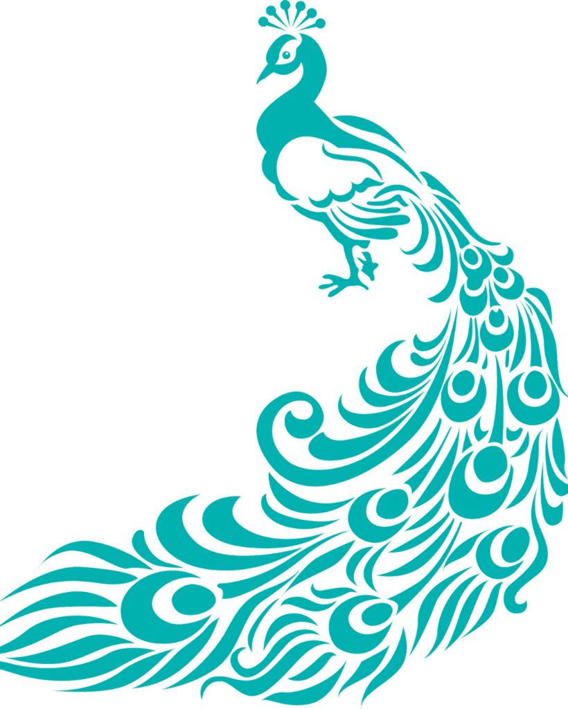 美丽孔雀图案素材PNG