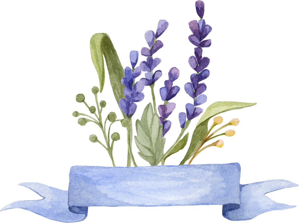 薰衣草花卉花朵PNG素材