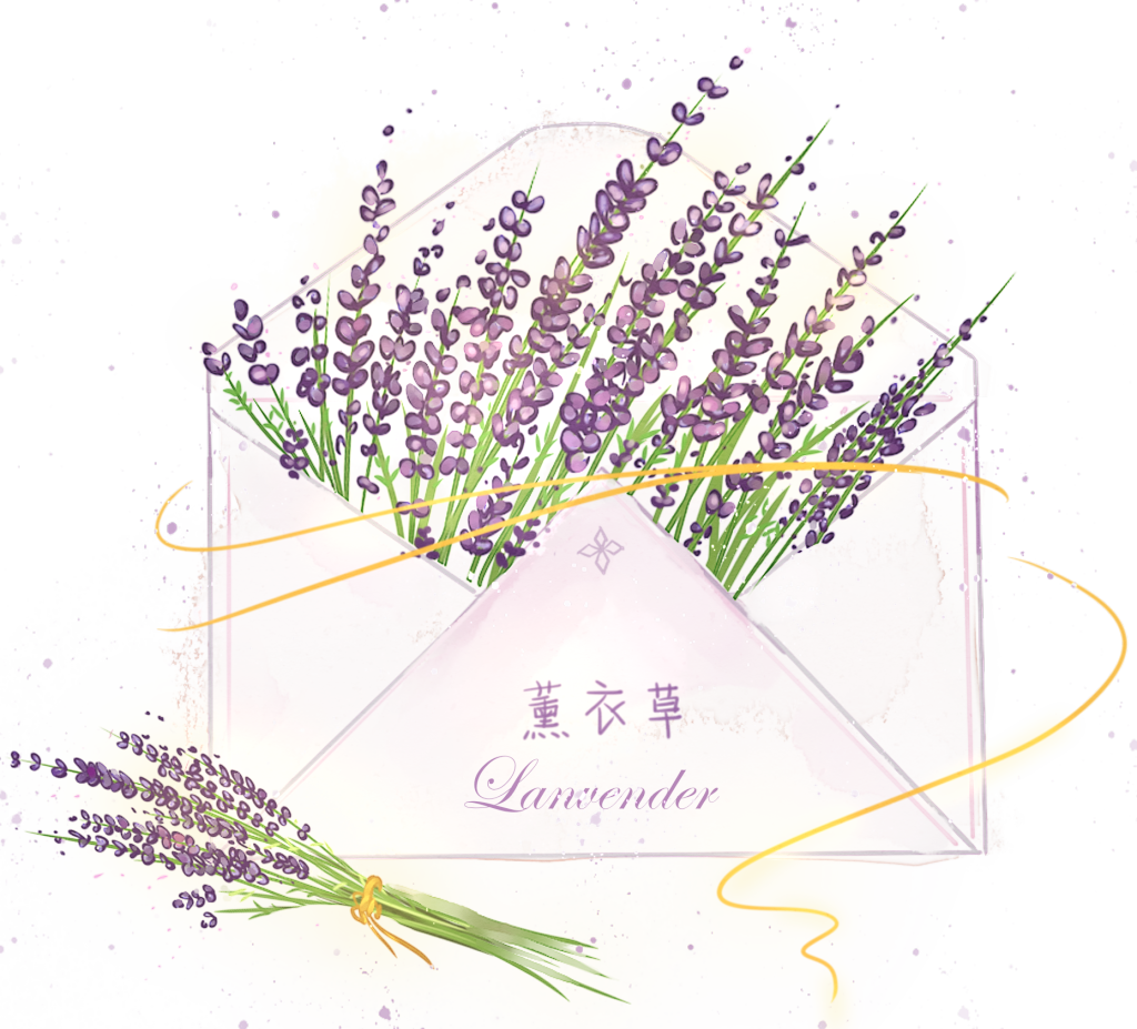 薰衣草花卉花朵信封PNG