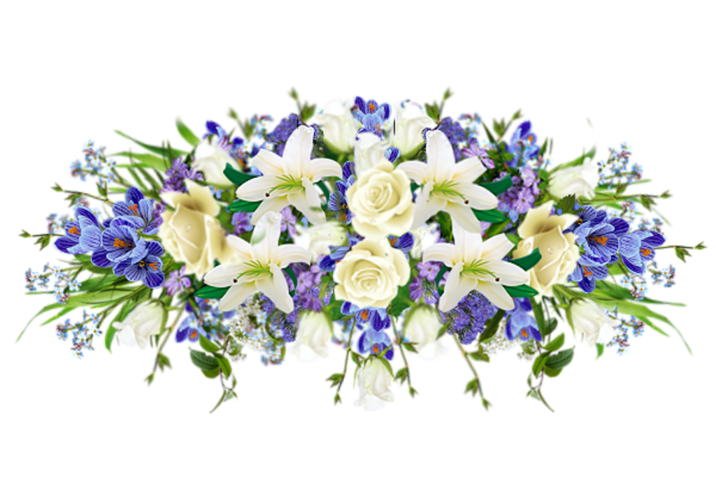 薰衣草花卉花朵PNG