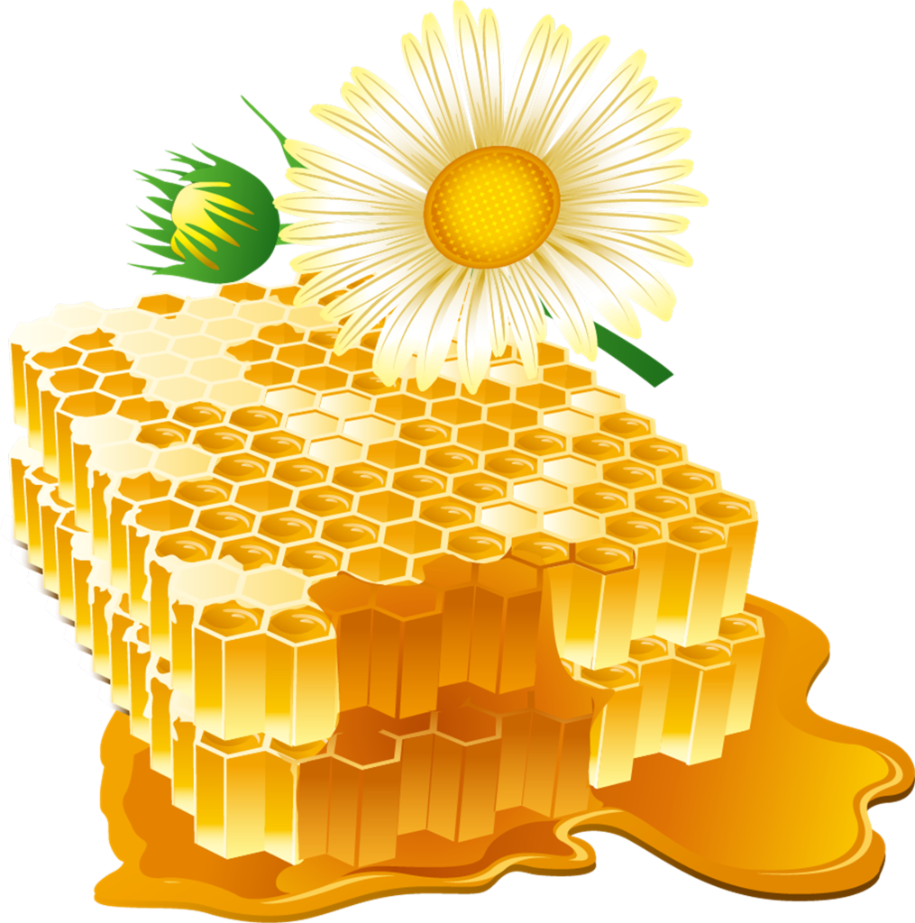 蜂蜜免抠素材png