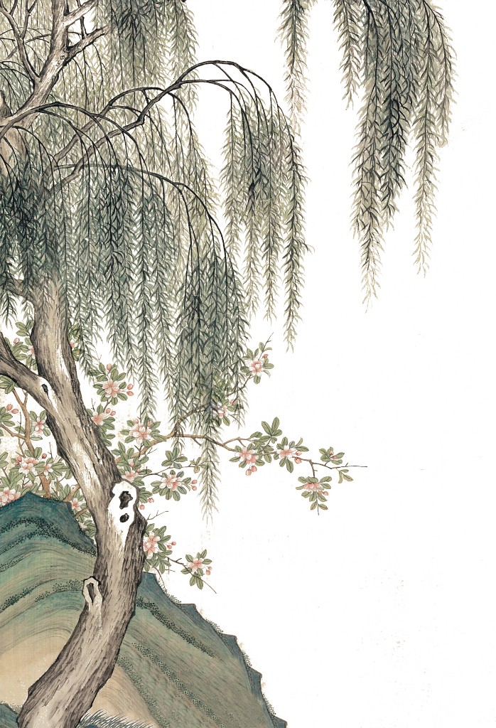 中国风柳树柳条春天春季元素免抠素材