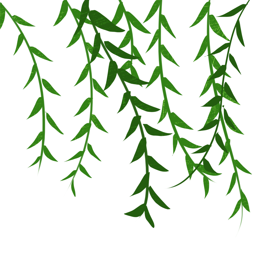 中国风水墨柳树柳条春天春季元素免抠素材