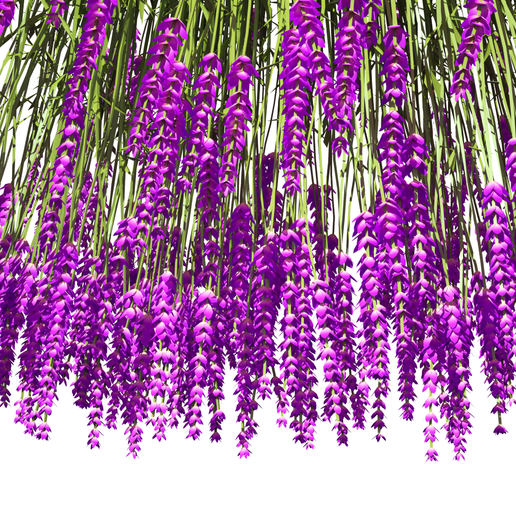 紫藤花小清新水彩