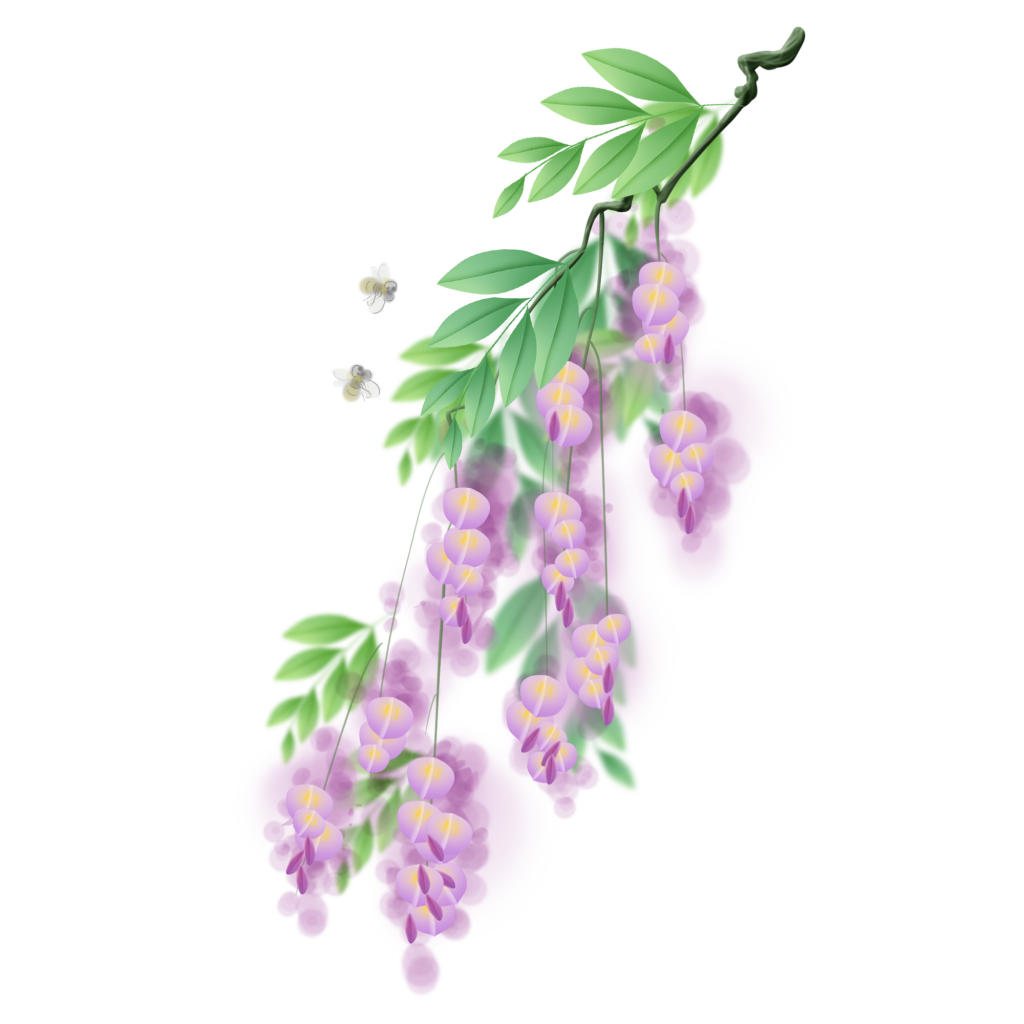 紫藤花小清新水彩