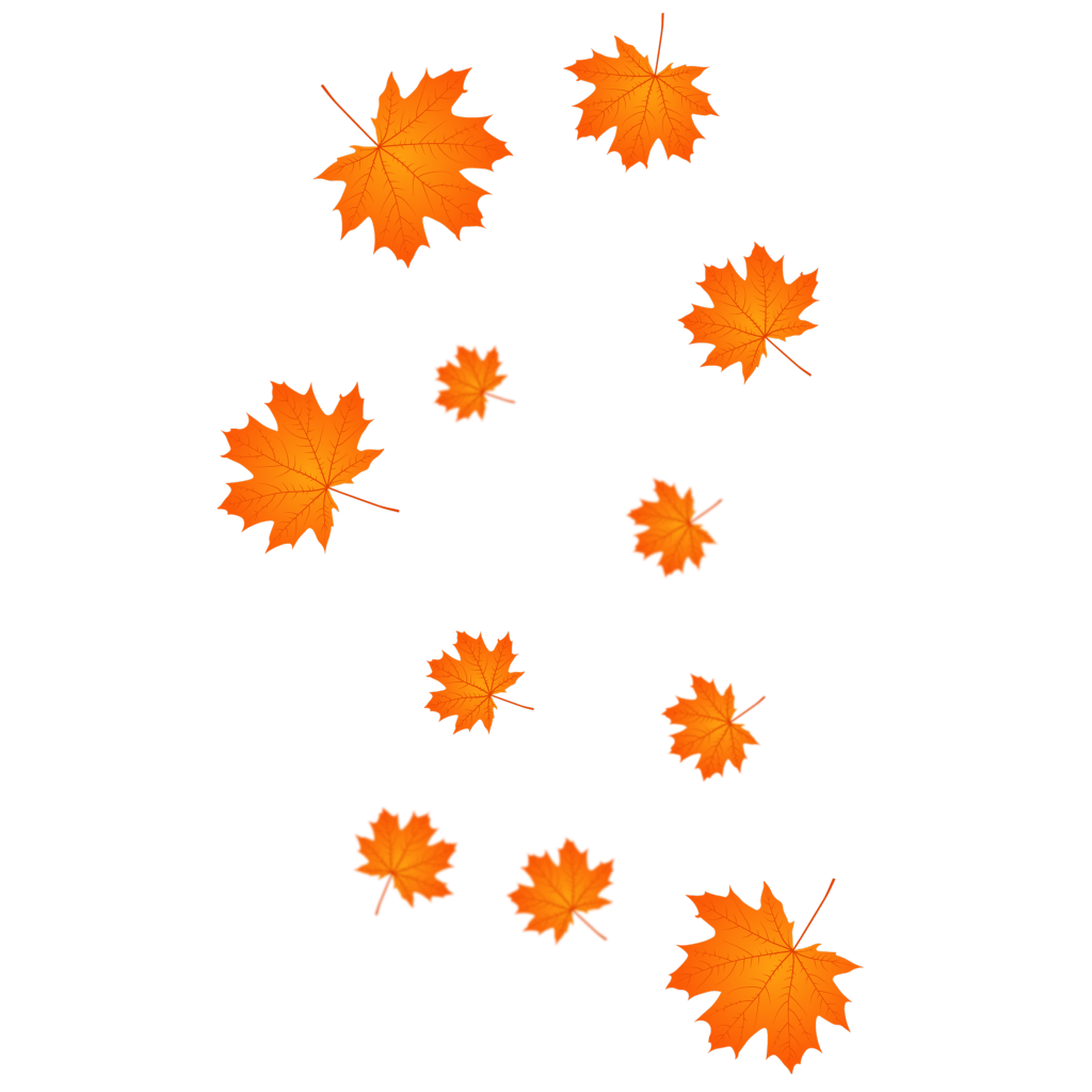 秋天枫叶秋季元素免抠素材png
