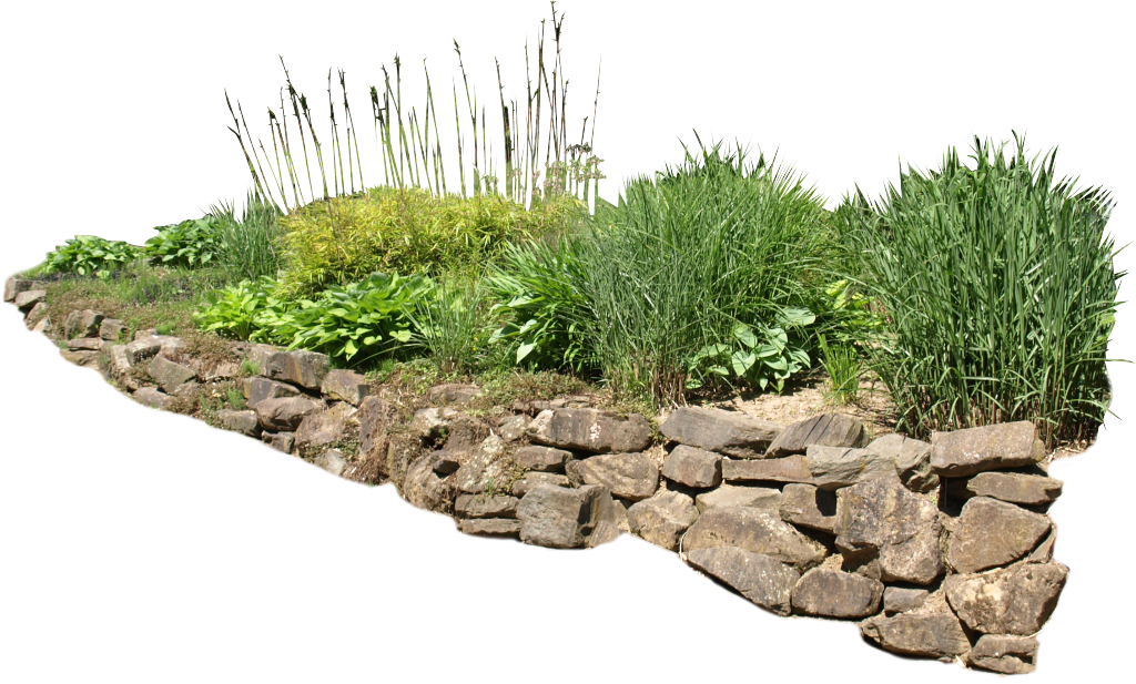 植物绿植绿化带草丛素材