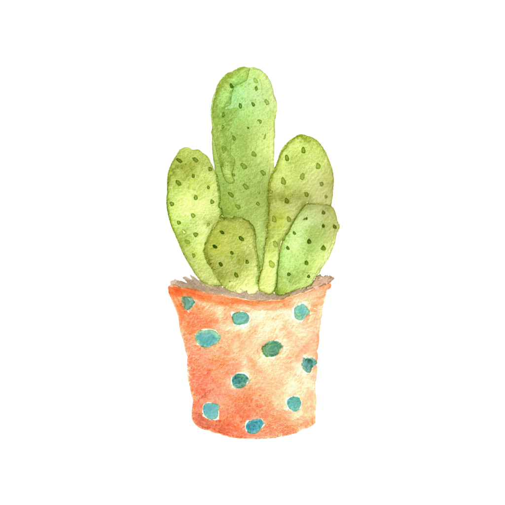 仙人掌植物素材png
