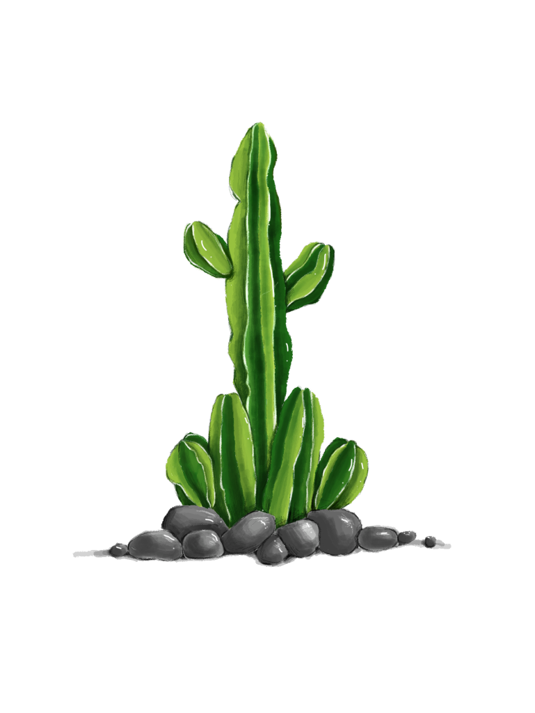 仙人掌植物免抠素材png
