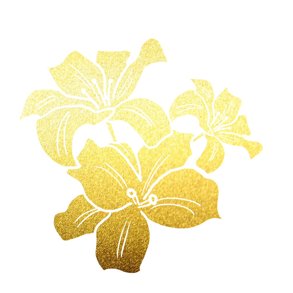 百合百合花手绘花卉免抠素材