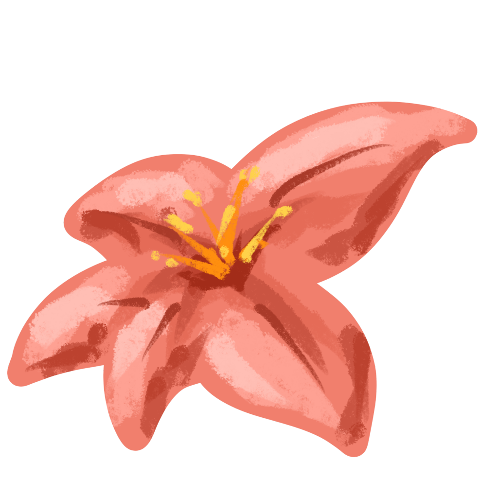 百合百合花手绘花卉免抠素材