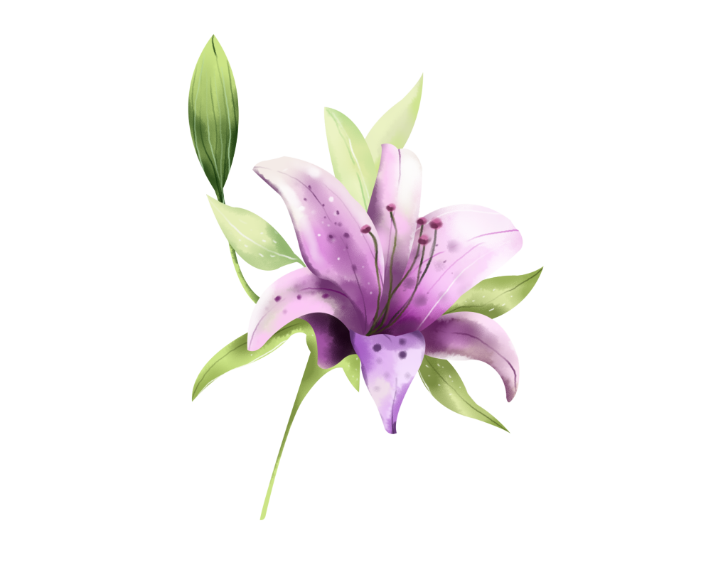 百合百合花手绘花卉免抠素材