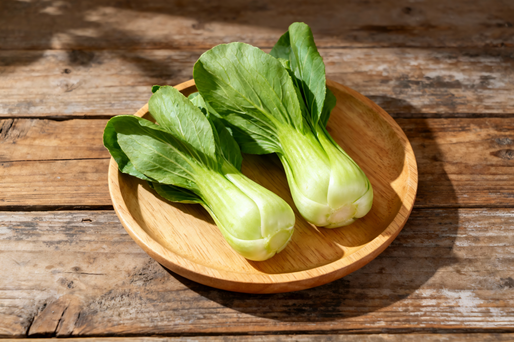 小白菜食材蔬菜摄影图