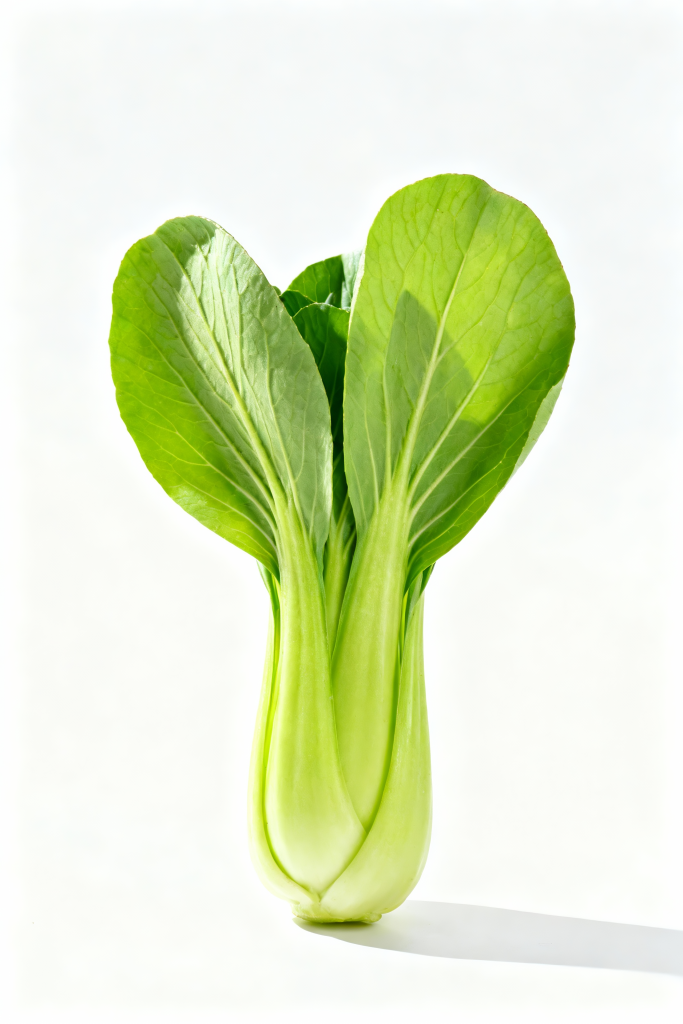 小白菜青菜蔬菜摄影图