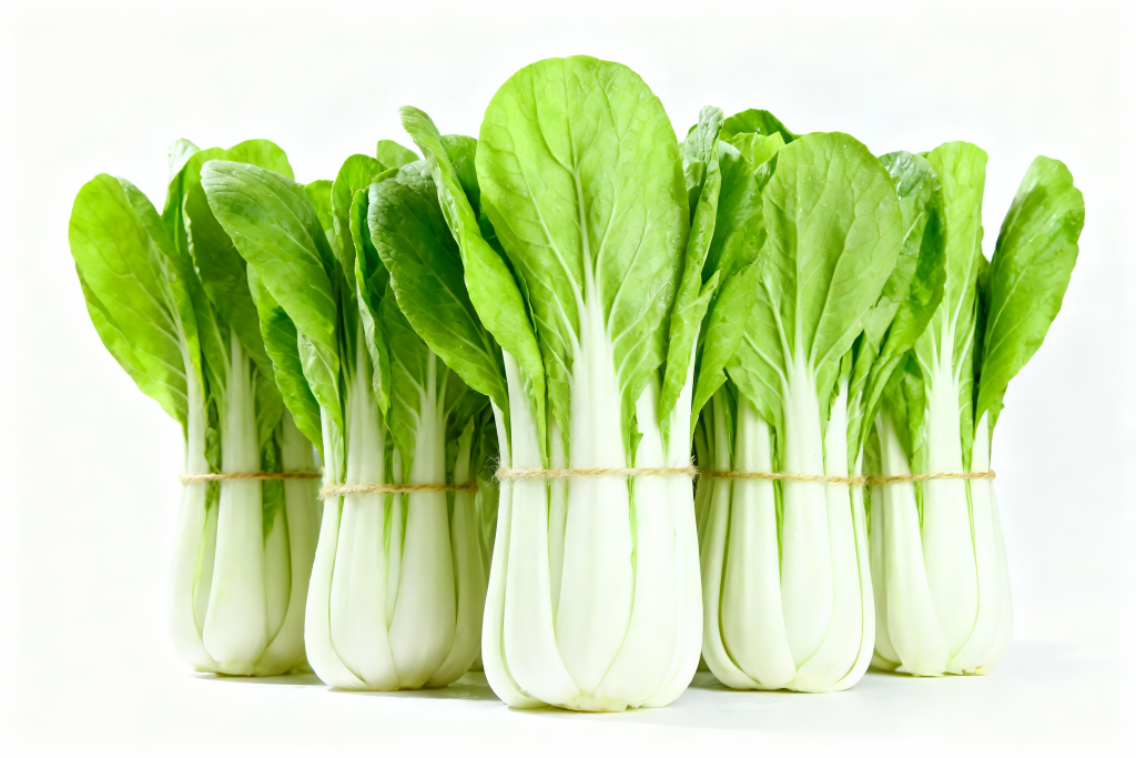 绿叶小白菜蔬菜摄影图