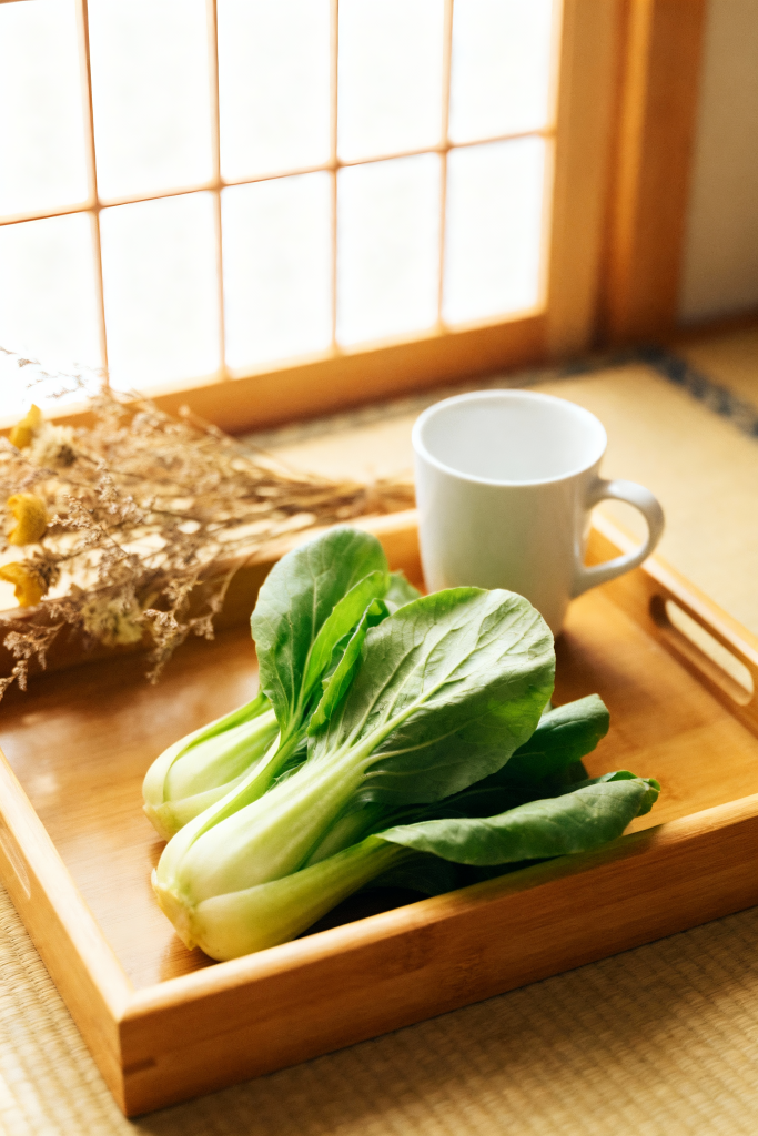 绿叶小白菜蔬菜摄影图