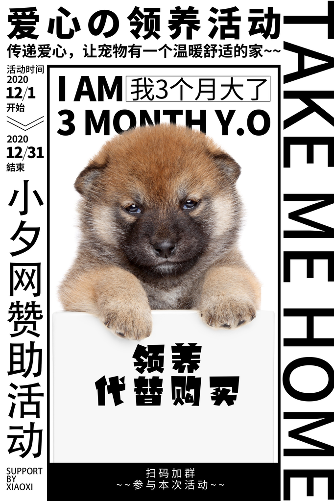 宠物医院诊所店铺宣传促销海报