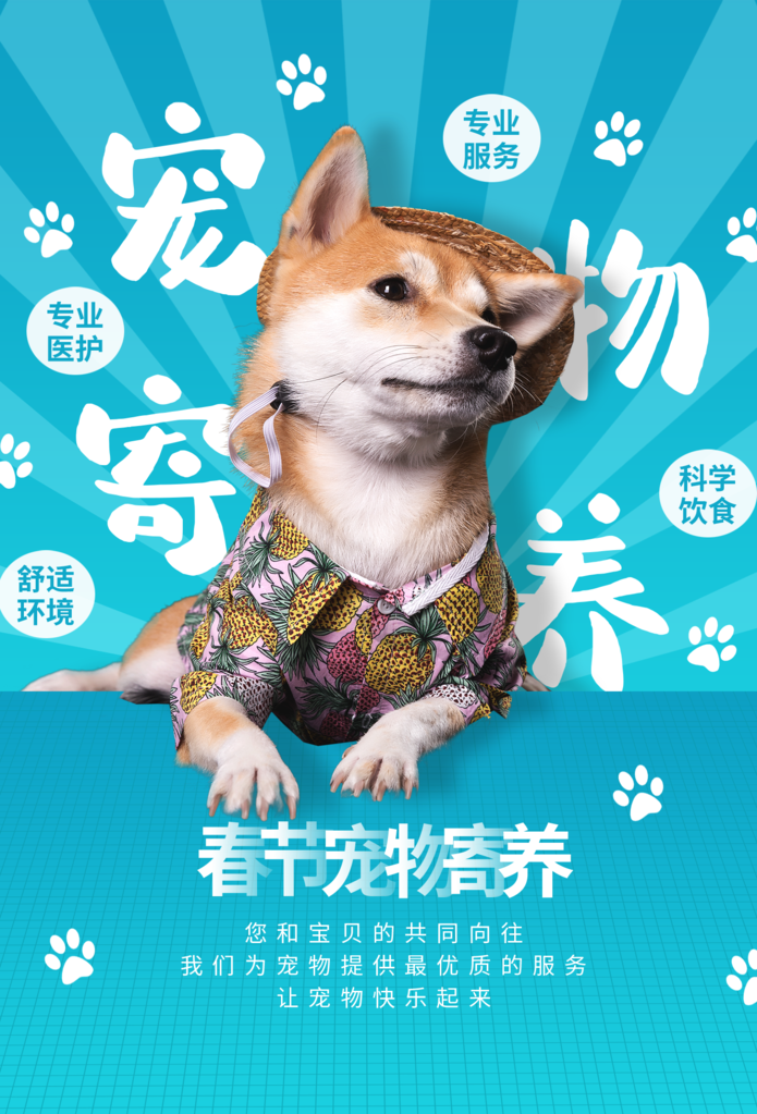 宠物店萌宠宣传海报设计素材