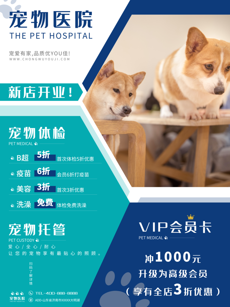 宠物店医院诊所宣传海报
