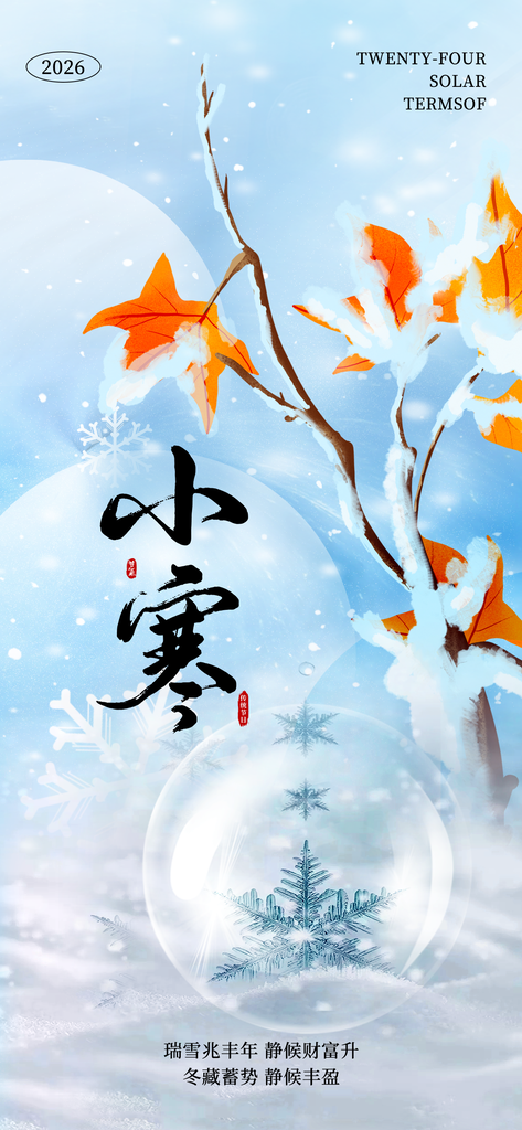 小寒简约大气海报