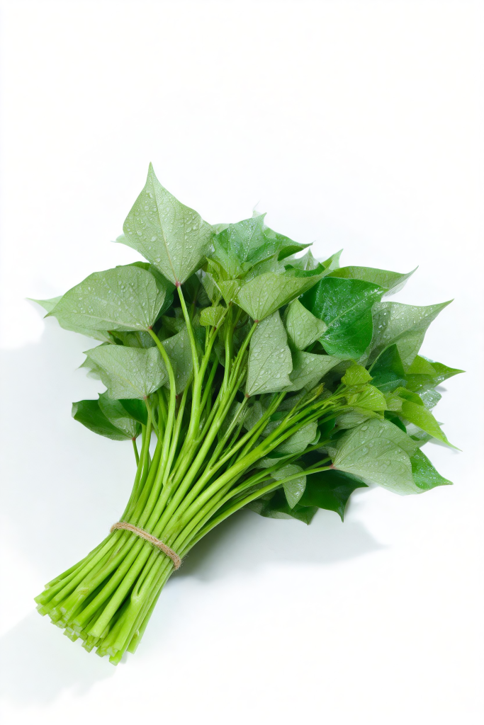 红薯叶嫩尖蔬菜摄影图