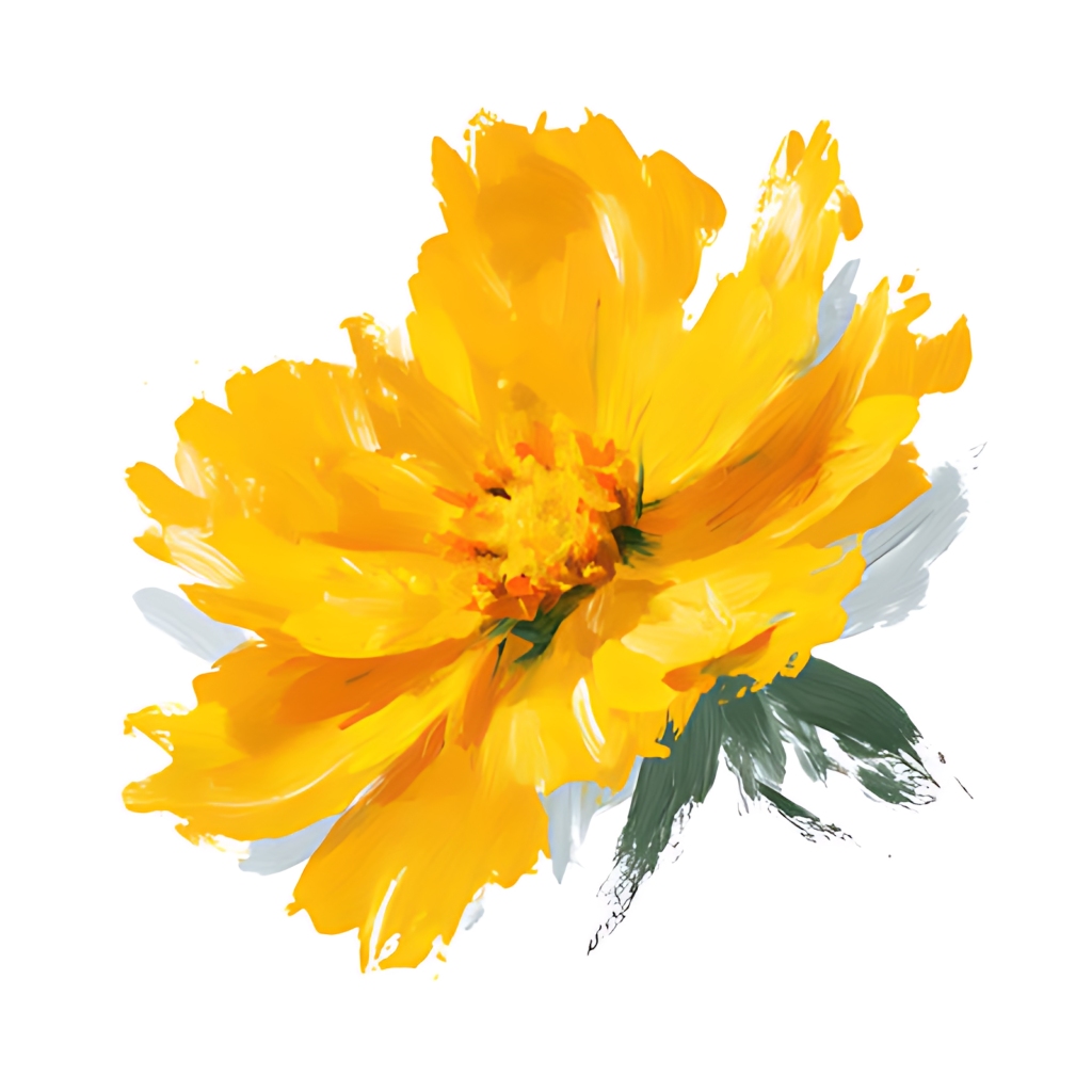 水彩黄色格桑花清新自然花卉插画