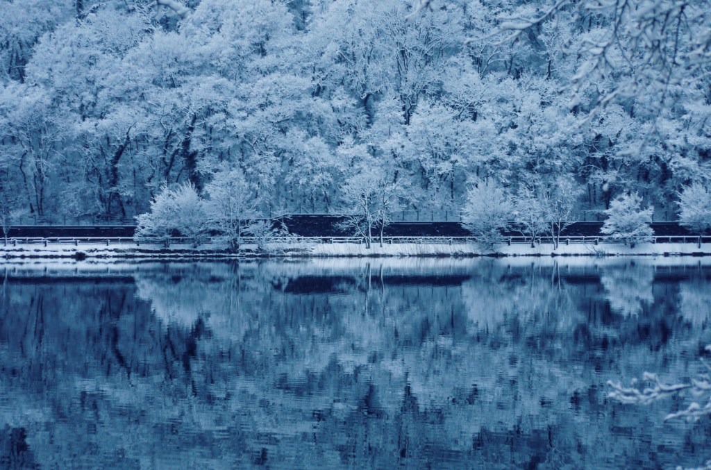 冬日湖畔雪景静谧如画照片