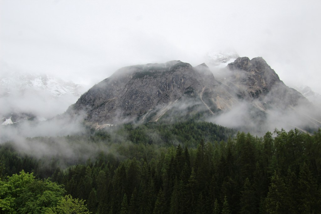 云雾缭绕山峰森林景观