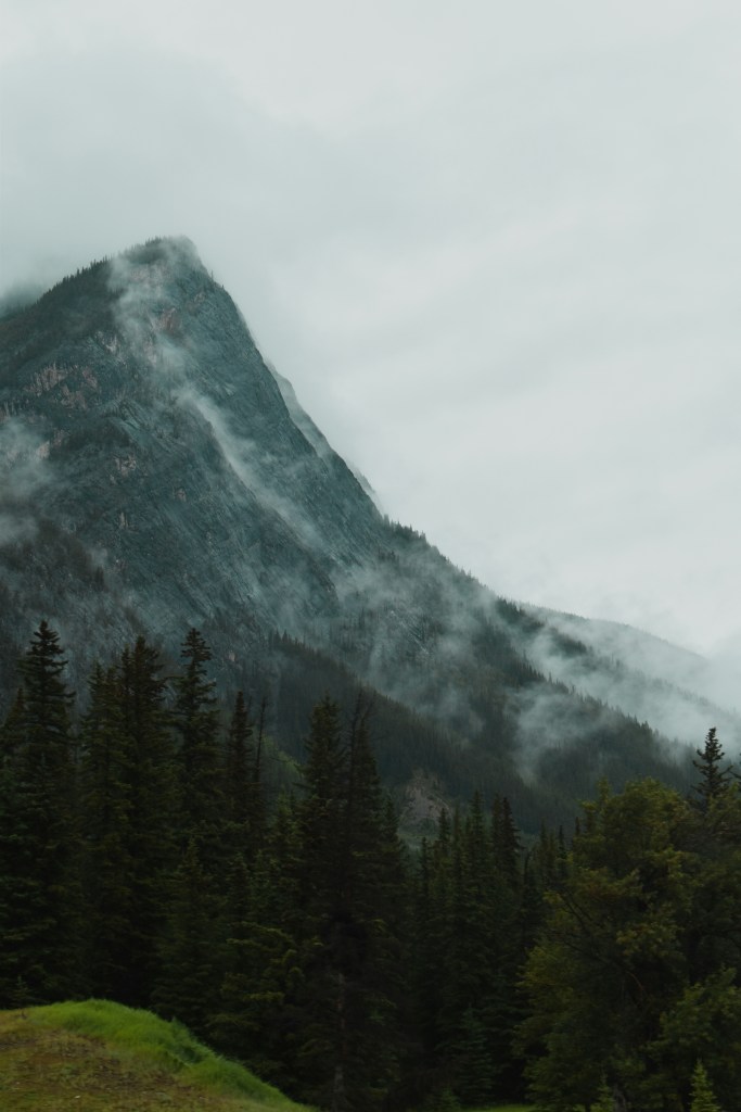 云雾缭绕的山峰与森林