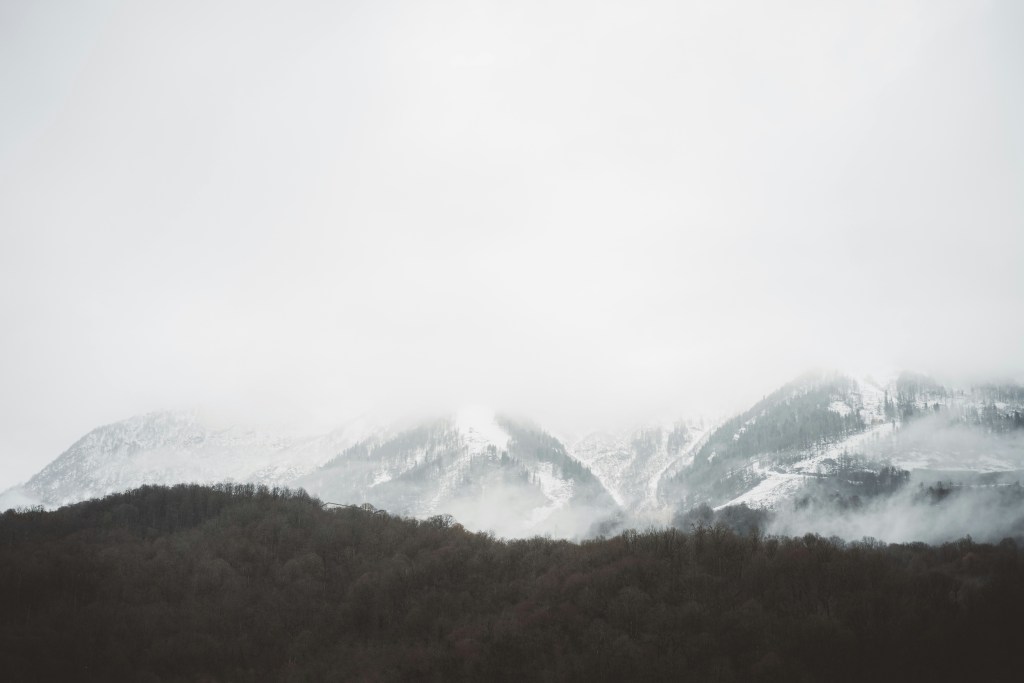 云雾缭绕雪山森林景观照片