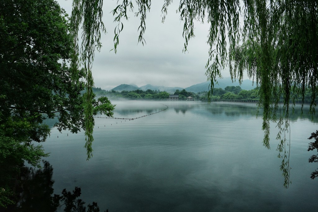 柳树垂枝雾气缭绕湖面静谧照片