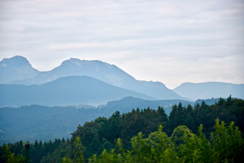 层叠山脉与茂密森林景观