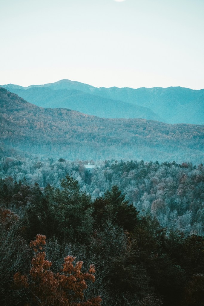 层峦叠嶂秋林景照片