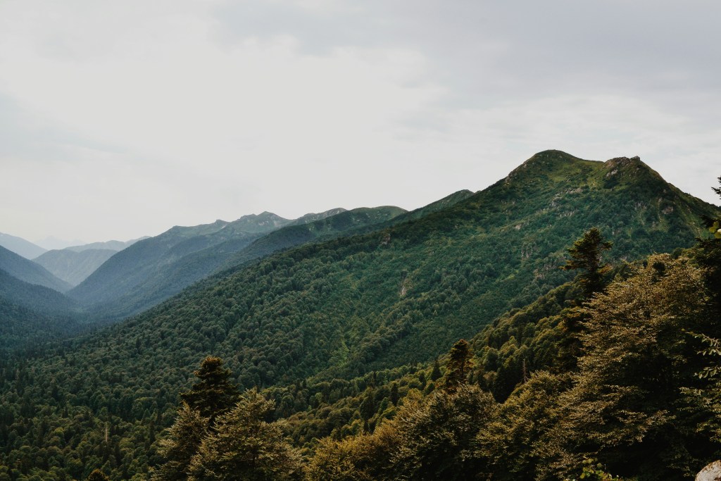 层峦叠翠山林景观照片