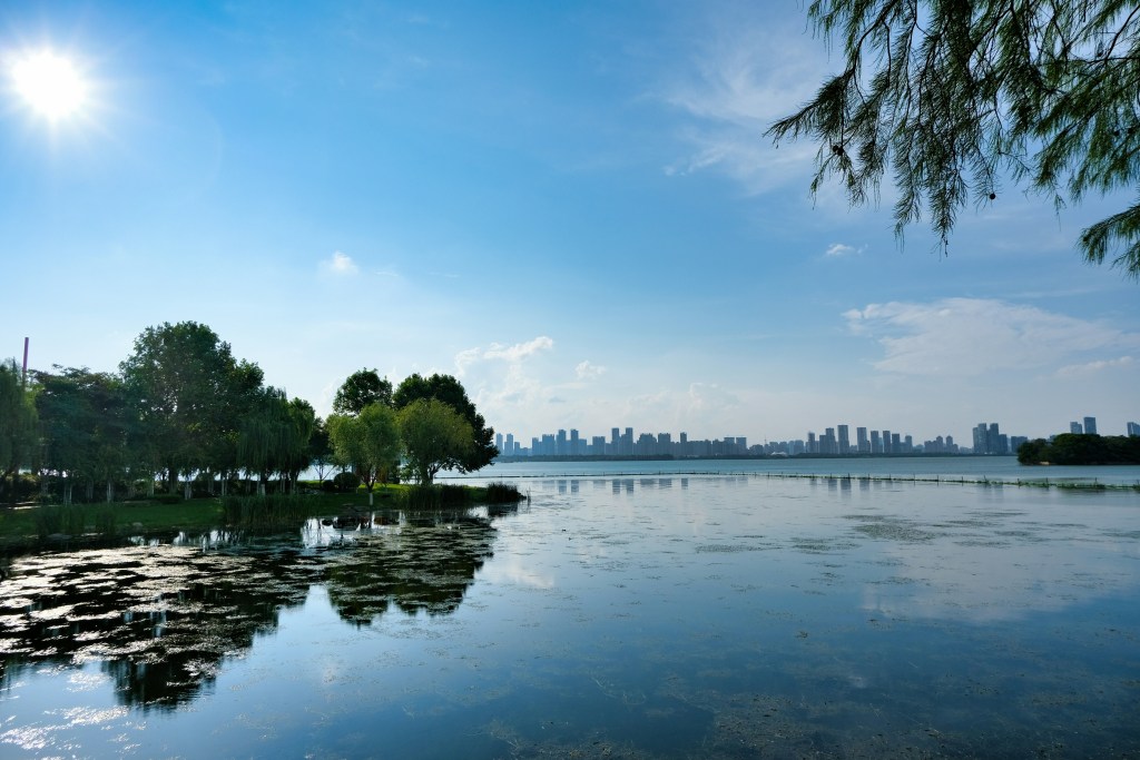 湖畔城市风光日景照片