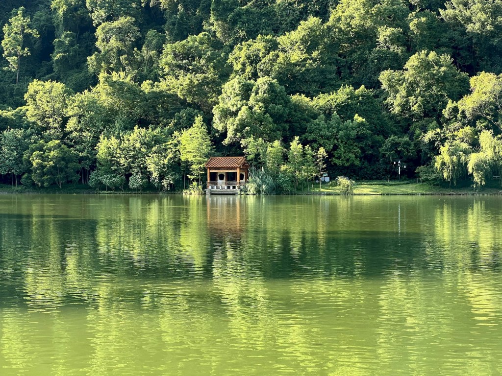湖畔小屋静谧风光照片