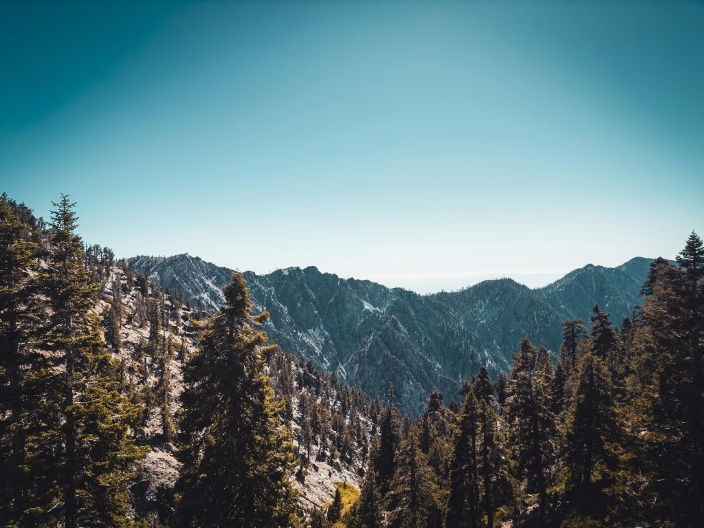 山峦叠翠松林密布蓝天映衬照片