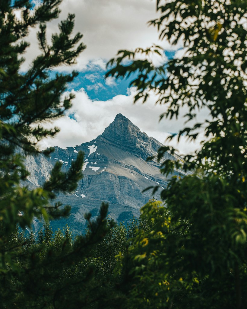 山峰云雾松树环绕自然景观照片