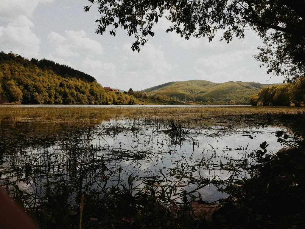 湖畔山林静景照片