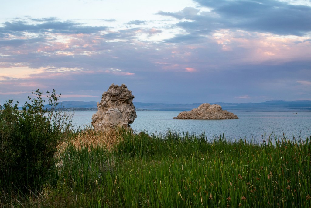湖畔岩石与芦苇丛的自然风光照片