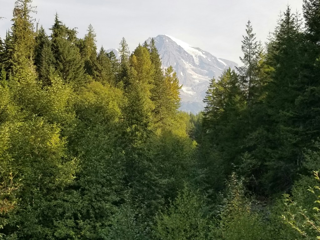 森林密布山峰雪顶自然风光照片