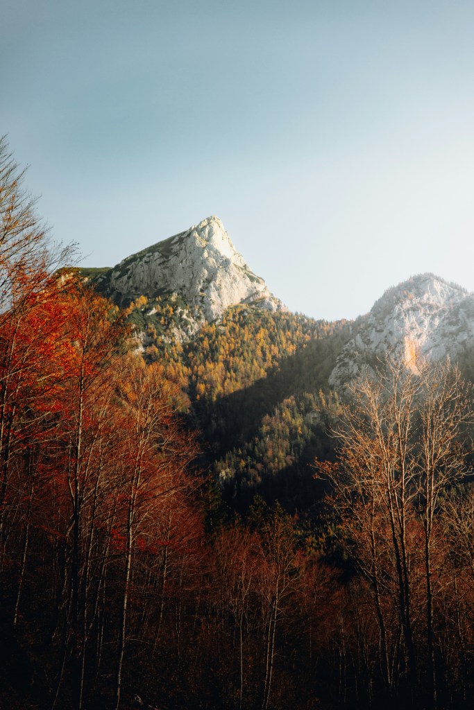 秋日山林层林尽染景色迷人照片