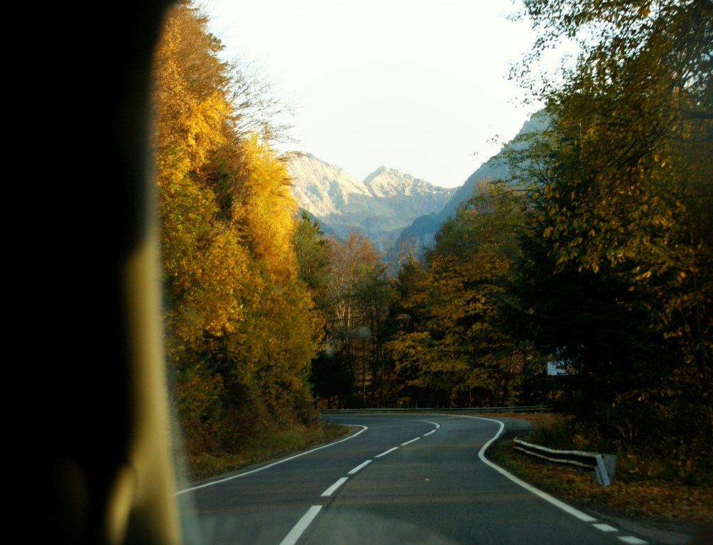 秋日山间公路景色照片