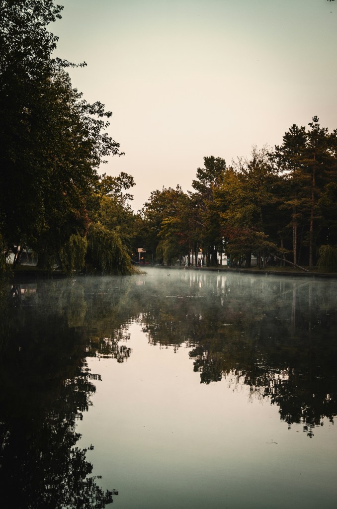 湖畔晨雾树木倒影静谧风景照片